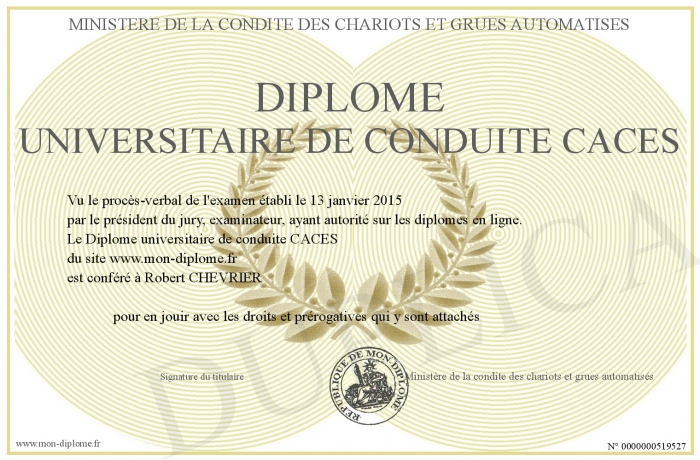 diplome universitaire conduite du changement